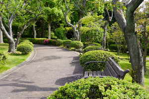 Garden Path Tokyo