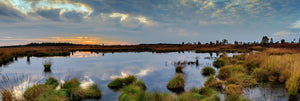 Panorama of carbon offsetting wetlands