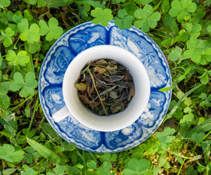 Keto Friendly Tea Collection - Bai Mu Tan White Tea
